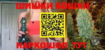 тгк Новодвинск