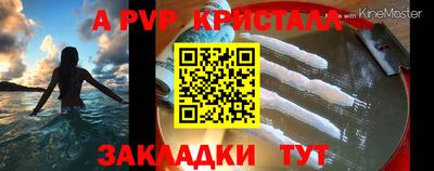 тгк Новодвинск