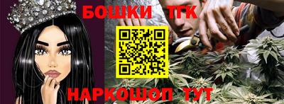 тгк Новодвинск