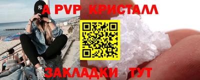 тгк Новодвинск