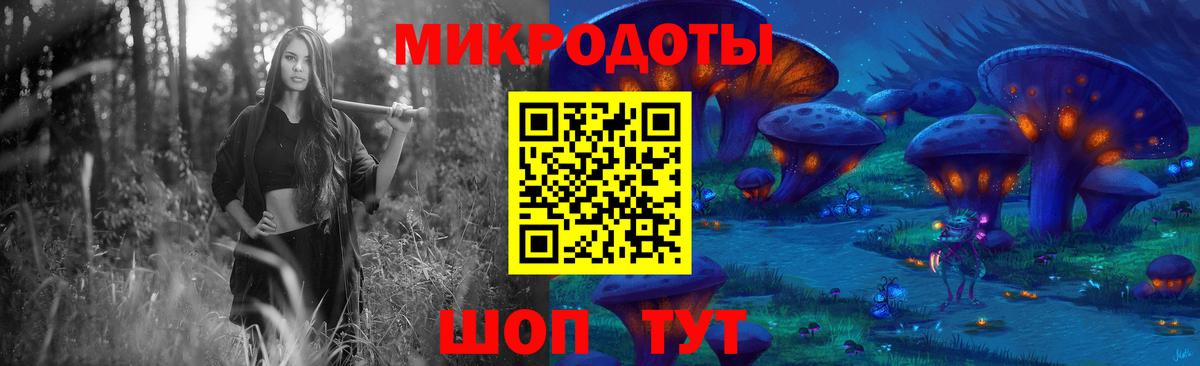 Сунжа  Галлюциногенные грибы Psilocybe  Вход с VPN 