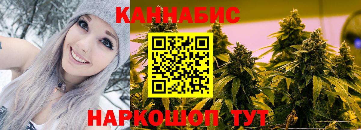 Канабис план Сунжа